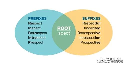 词根对记忆单词有用吗,学好单词的词根