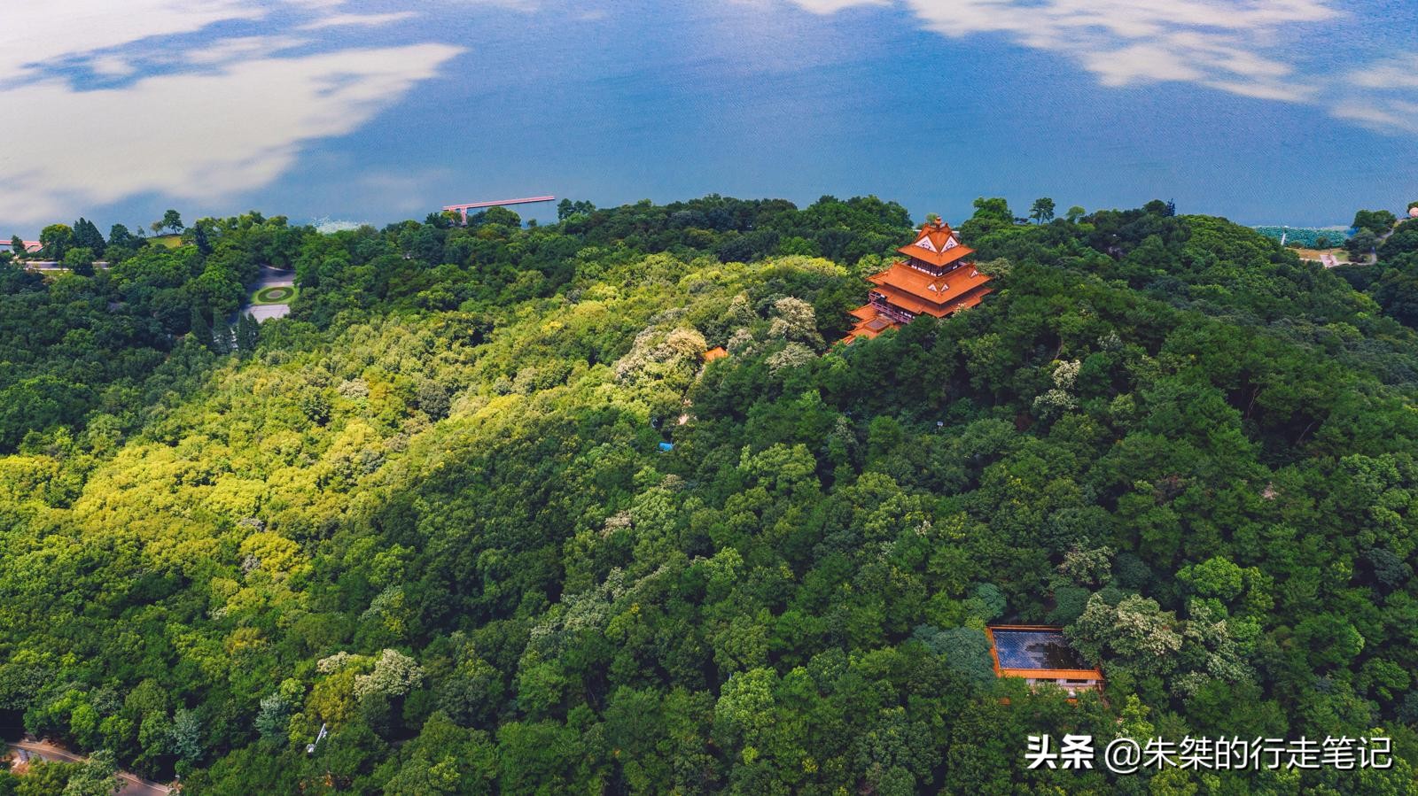 武汉是全球公认的三大赏樱胜地,世界三大赏樱胜地是无锡还是武汉