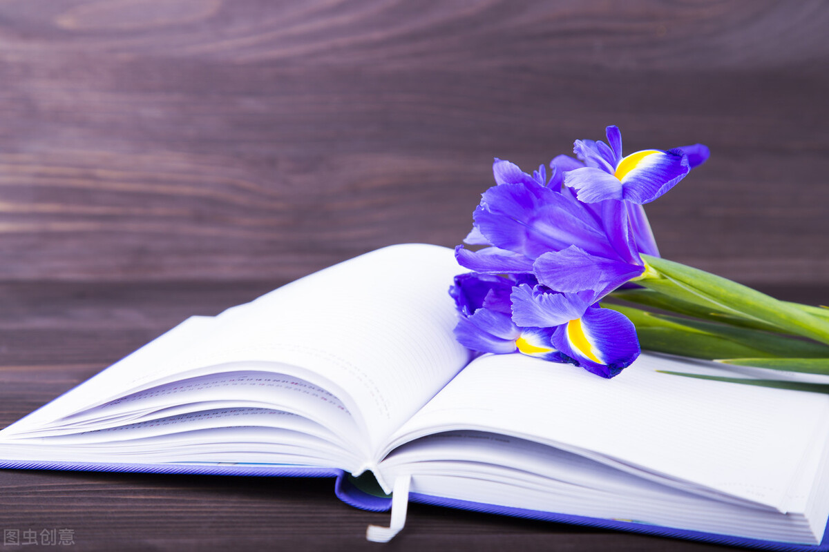 一对一直播如何运营,一对一直播运营挣钱么