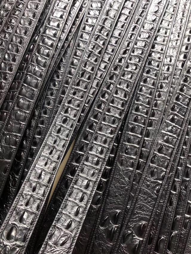 真正的鳄鱼多少钱,最有价值的鳄鱼