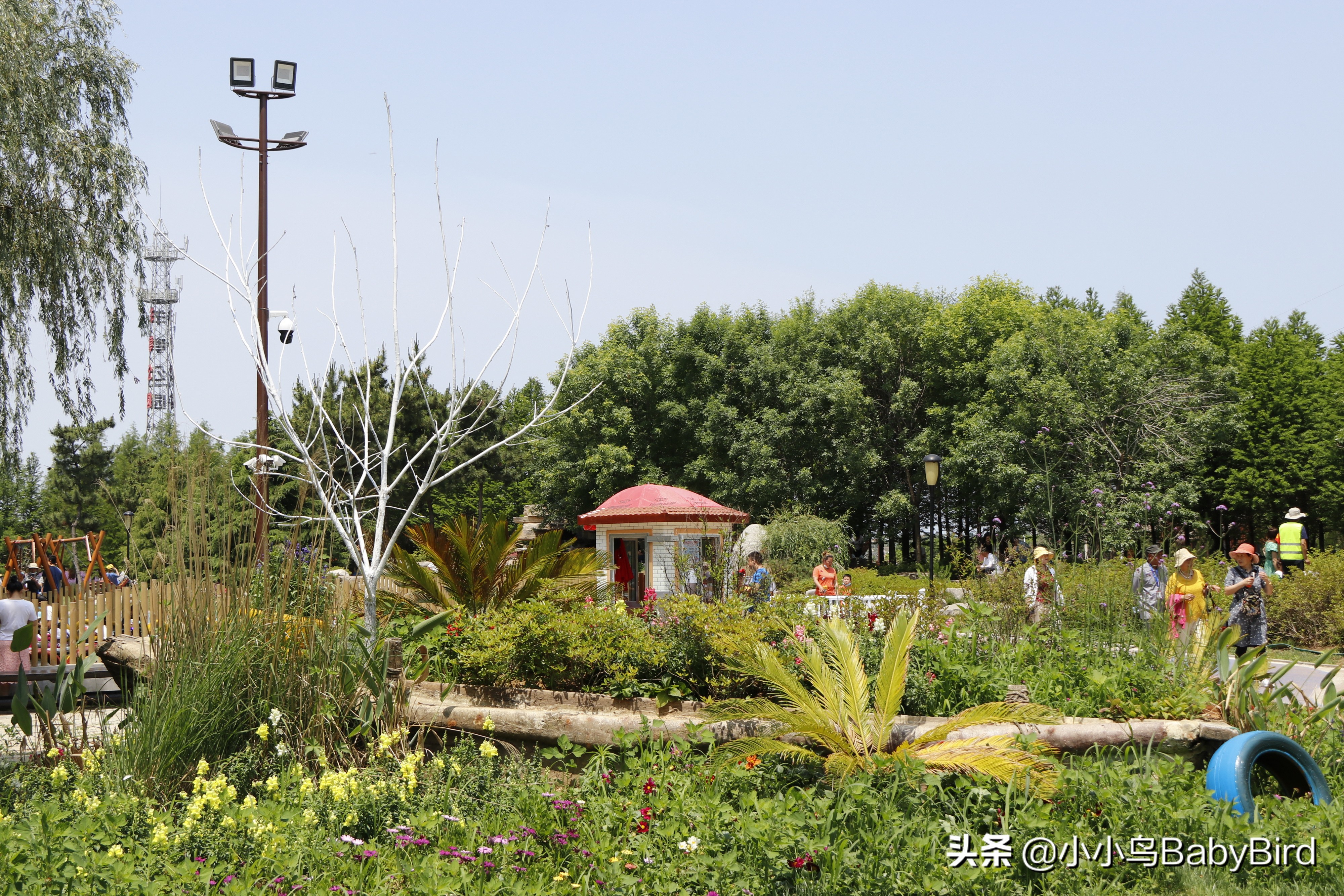 威海羊亭湿地公园,大美河畔