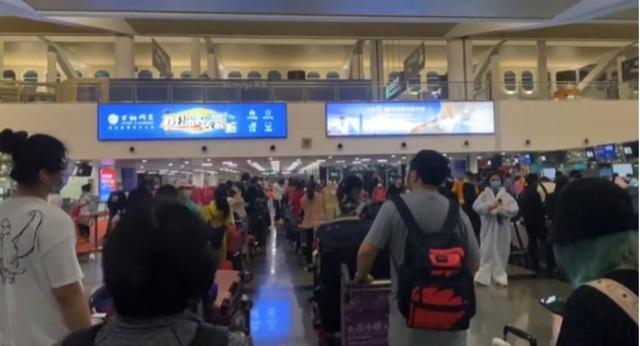 留学生回国后的反应是什么,留学生回来的问题