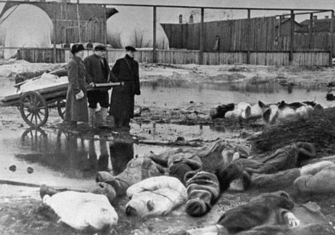 列宁格勒保卫战德军失败原因,列宁格勒保卫战是二战转折点