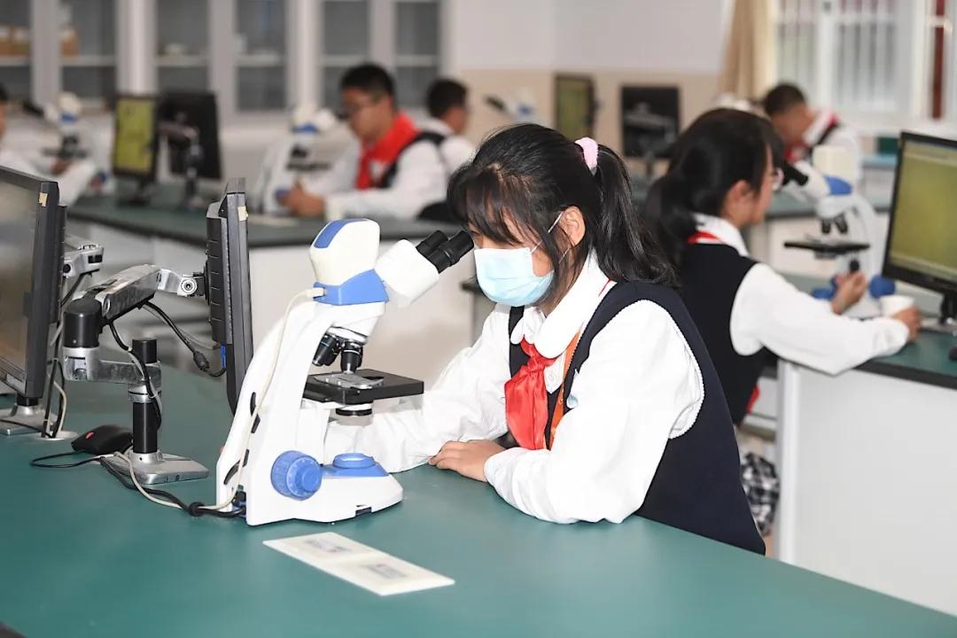 秦外集团最新成员校一年巨变！​