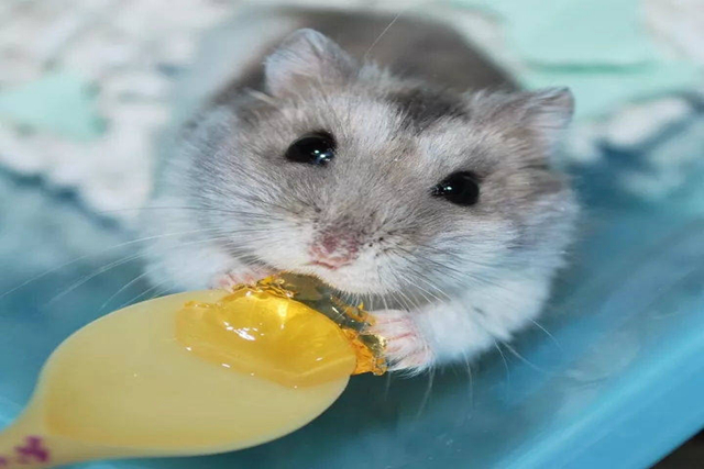 璋冪毊鎹ｈ泲浠撻紶,璋冪毊浠撻紶