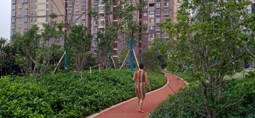 忆当初青春年少,再忆年少时已不再年少