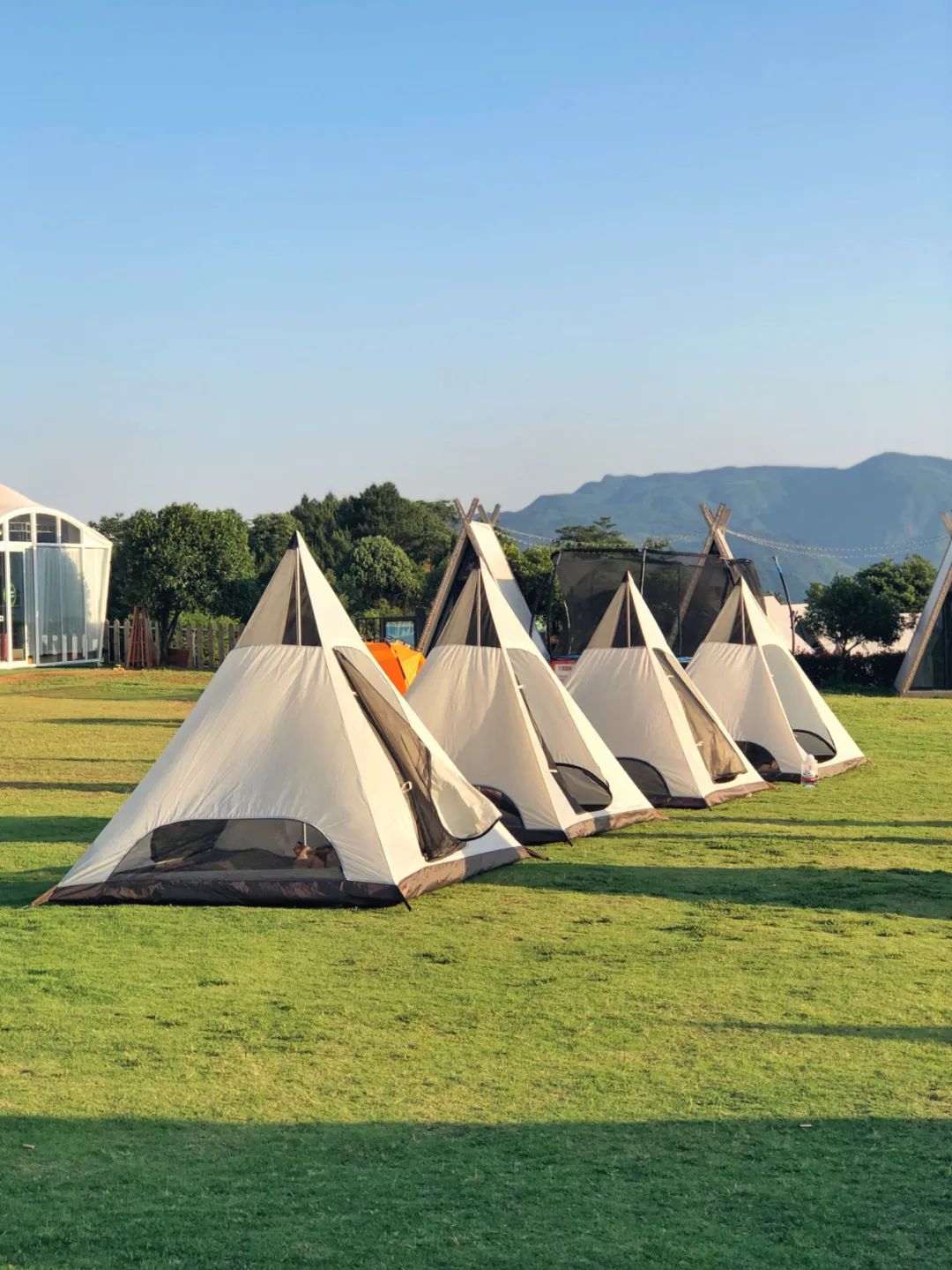 人类森林露营,人类高质量游览