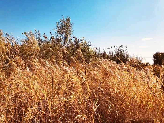 中华优秀传统文化活动主题,中国优秀传统文化节