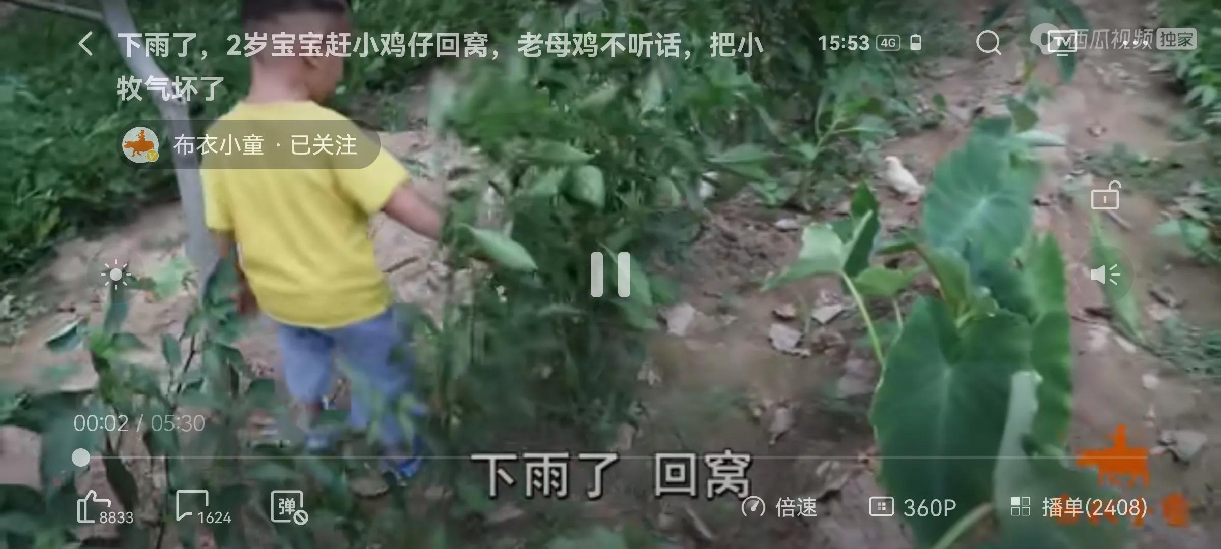 布衣小童牧宝新视频,最喜欢的两个小孩