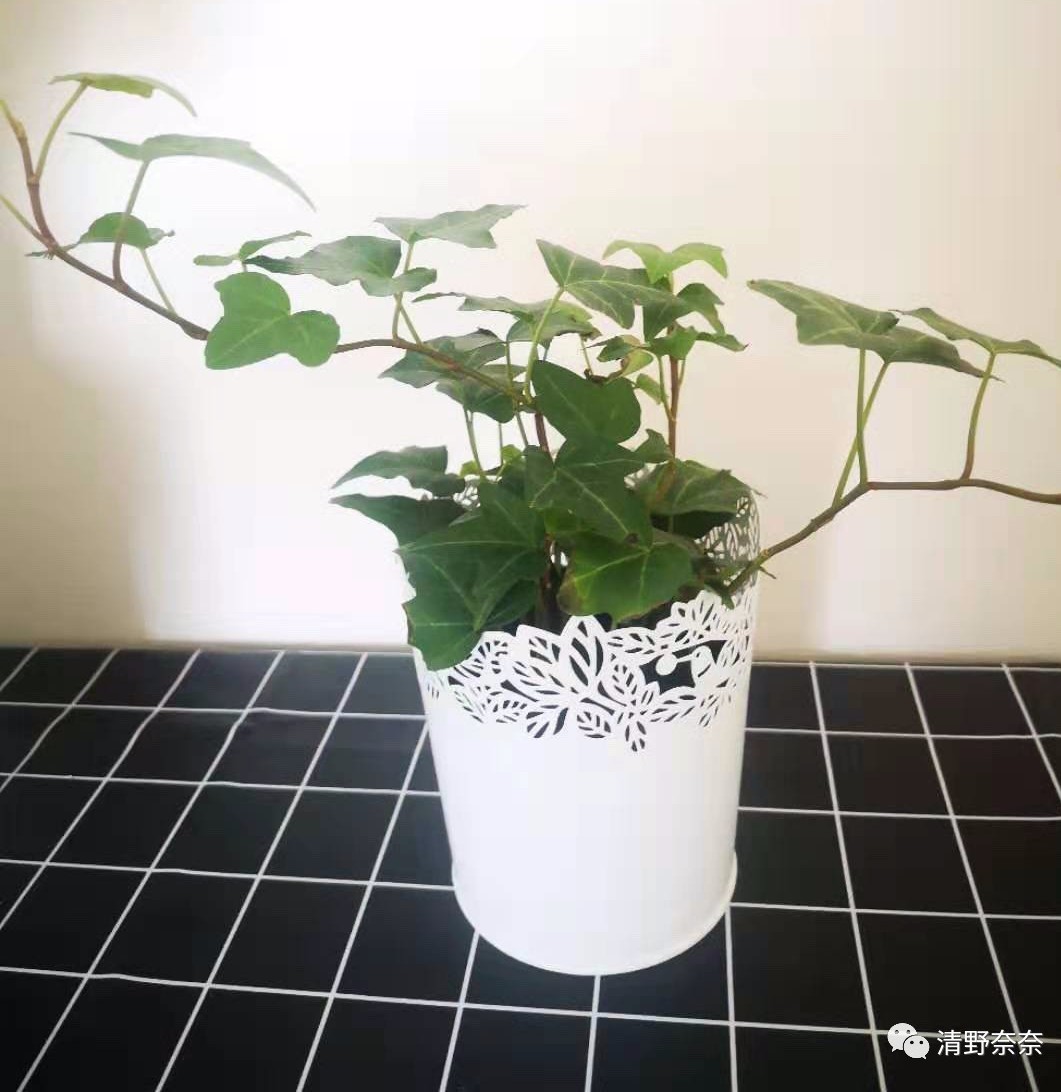 宜家10元以下好物推荐,宜家必买的100元单品