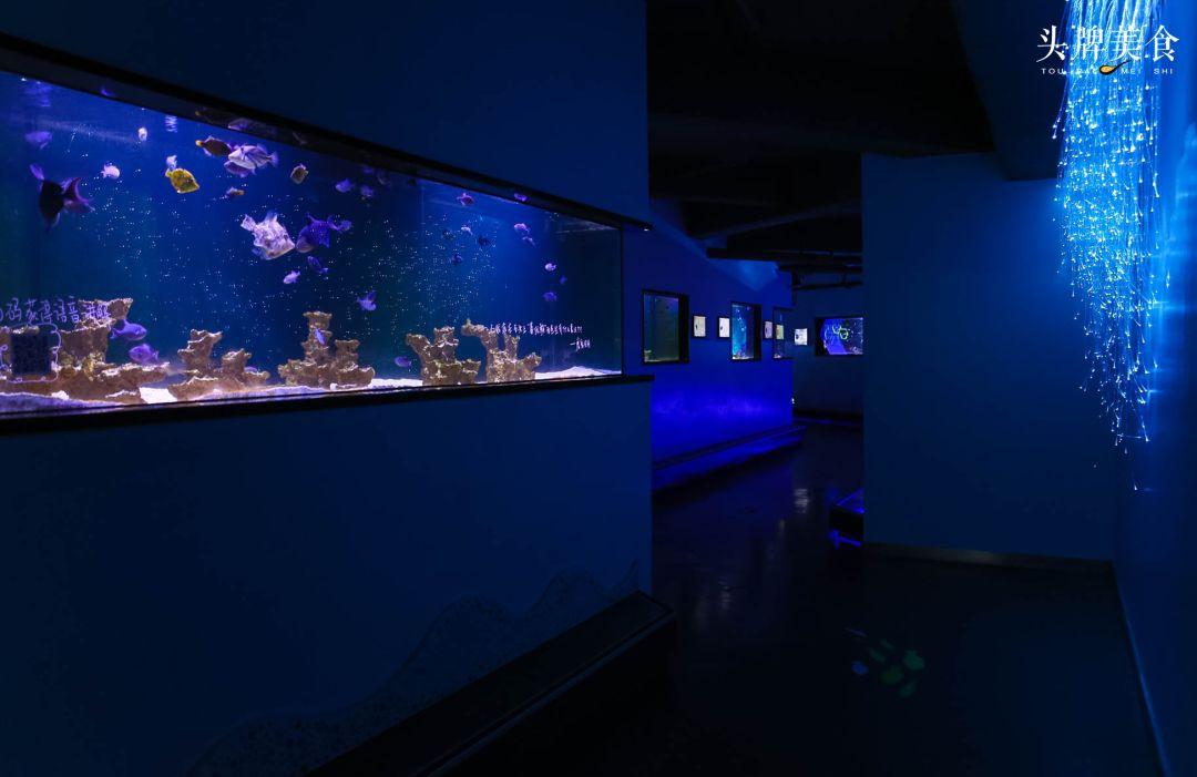 绚丽珊瑚海300+种海底生物，火爆盆友圈的网红打卡圣地就在中山路