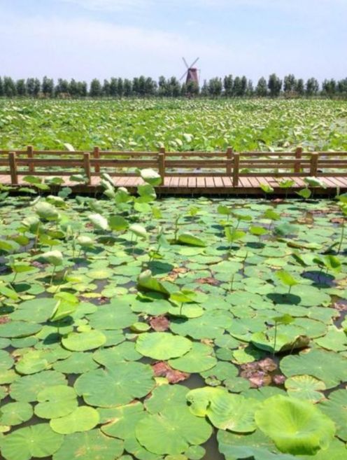 “百千桑梓地，亿万老家人”。浙江省—台州市—玉环市