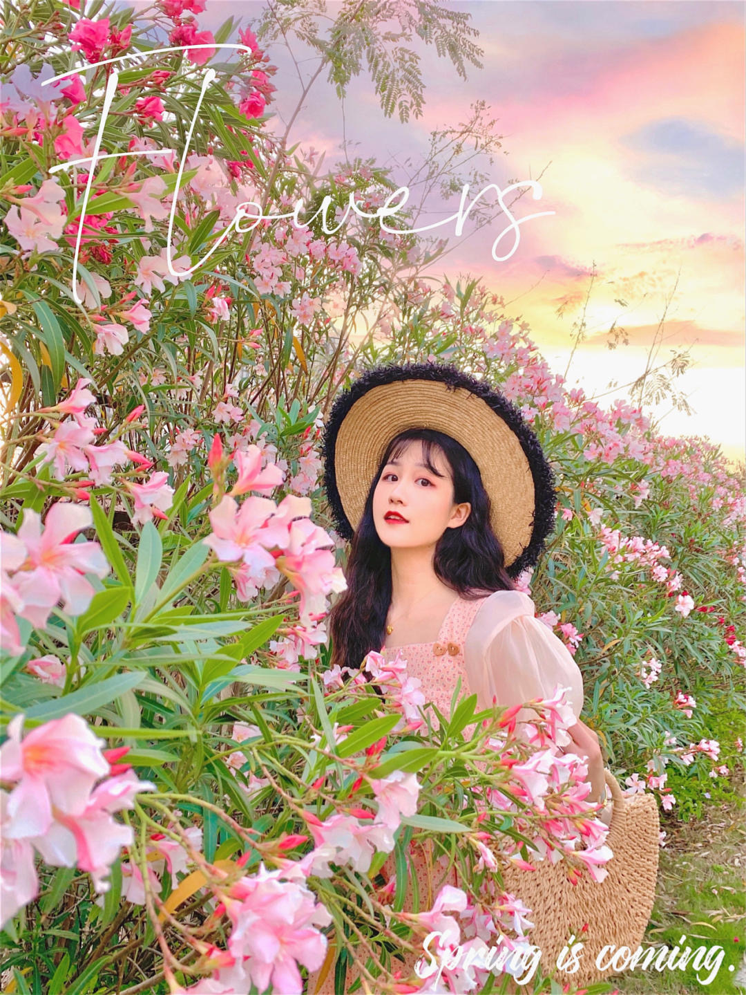 洛可可减龄长袖,洛可可奶油奶白