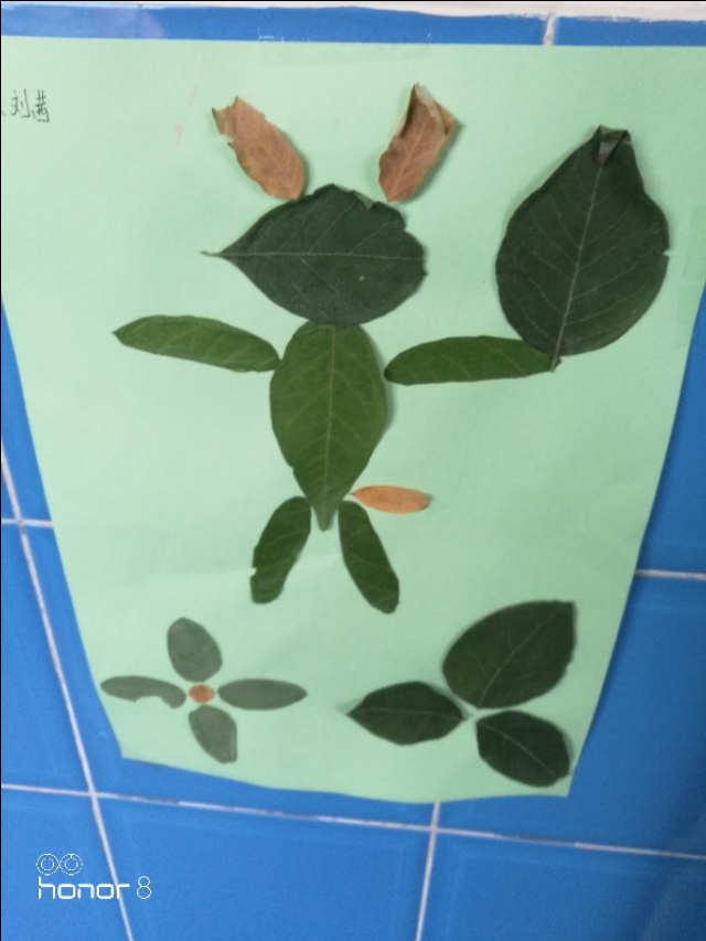 [秋叶之赋]秋日落叶漫漫，落叶归根，然而落叶有顽强的生命力