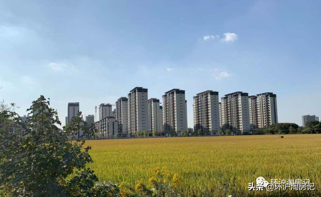 实探！网红板块北郊产业园！这个总是“被牺牲”的地方要发力了