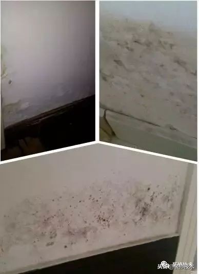 为什么防水做了墙面还是返潮,墙面返潮防水