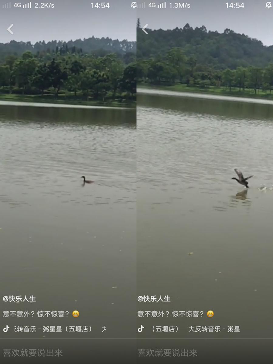 抖音那种音效是怎么做出来的,抖音怎么同时用两种音效