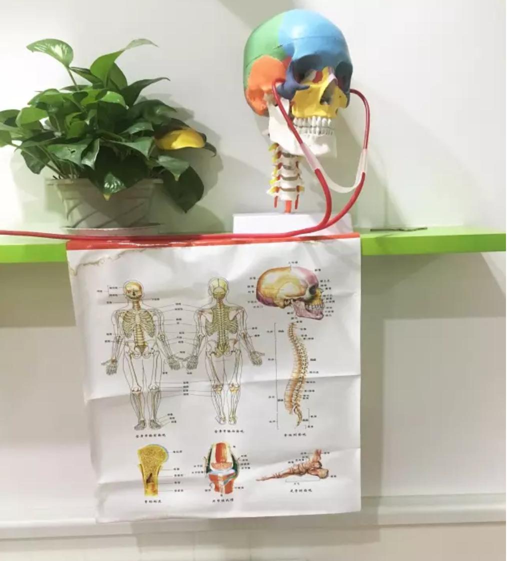 郑州普林斯顿幼儿园学费多少,郑州市普林斯顿幼儿园学费