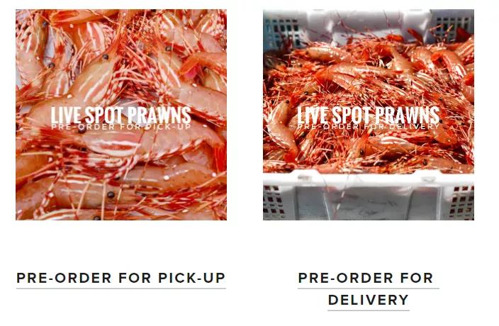 斑点虾开卖！最全购买地址请收好，还能网购加送货上门，给力