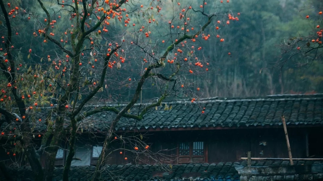 适合秋天自驾游的路线推荐一下,秋天皖南川藏线自驾游攻略