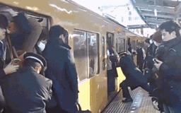 女人是用上半身思考的动物,女人是用什么思考的动物