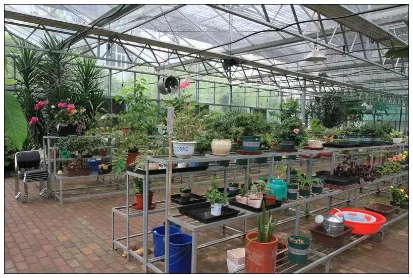 合肥二中艺术班怎么样,合肥二中音乐特长生报考要求