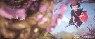 2023各大航司随心飞套餐对比,航空公司避坑指南