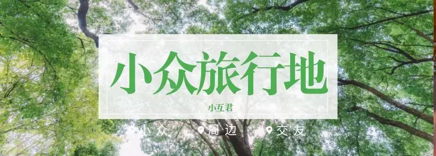 美翻了无锡这个紫色花海,美翻诸城这片花海刷爆整个朋友圈