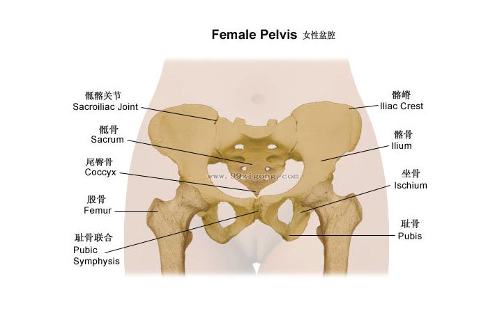 痔疮为什么喜欢复发,痔疮喜欢冷还是热