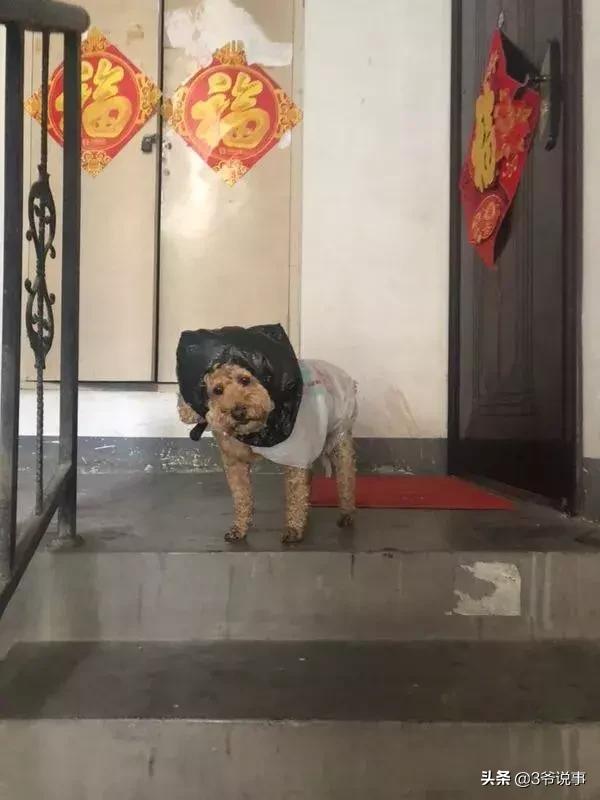 千万不要相信女孩子po出的身材自拍.过于真实哈哈哈