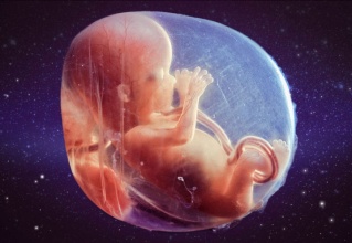 胎儿在肚子里大便会自己吃吗,怀孕时宝宝在肚子里尿又拉屎