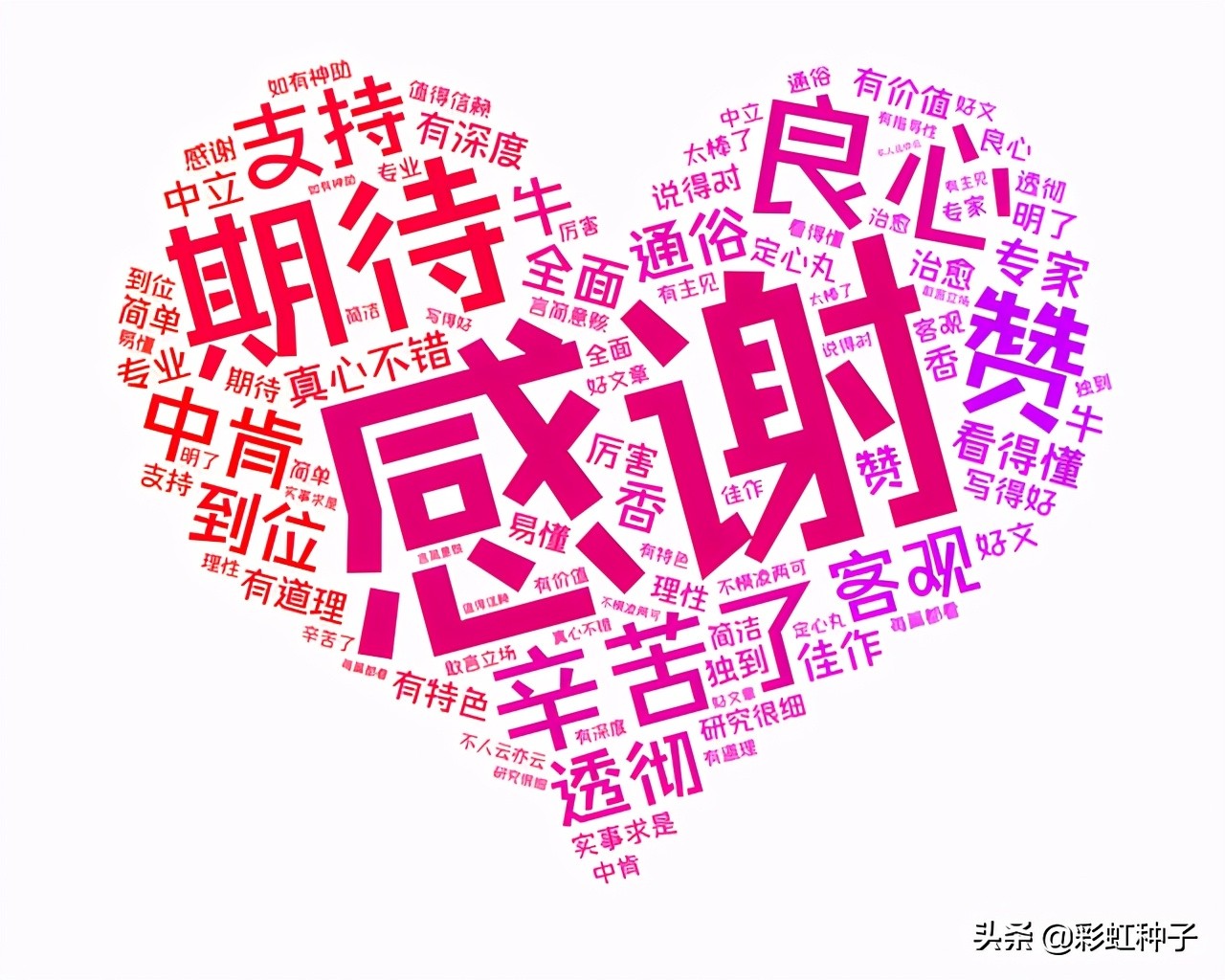 汇添富蓝筹稳健混合投资分析,2024年汇添富基金行情预测