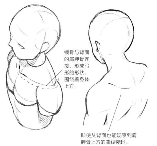 零基础漫画侧脸教程,初学漫画头入门零基础