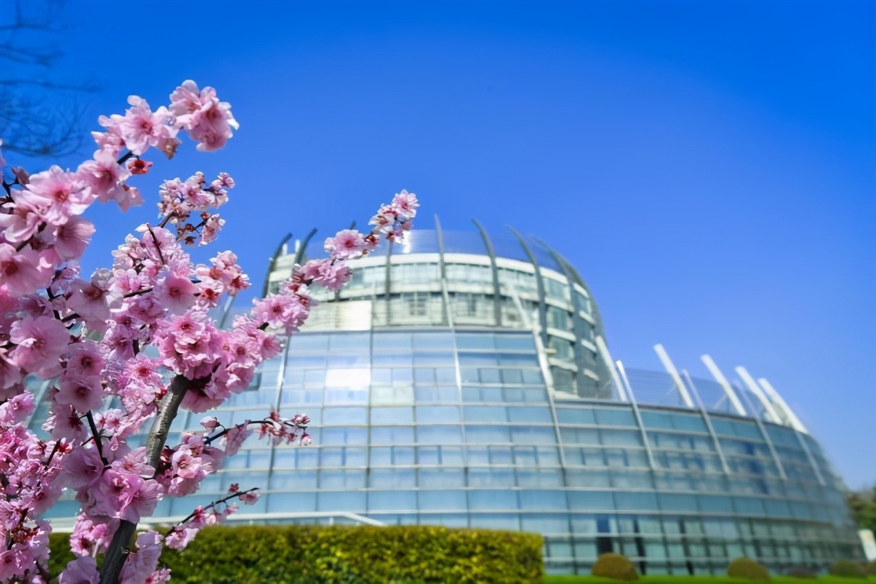 全国前十大专业,各专业全国第一的大学