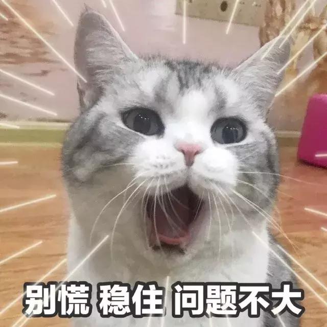 市道不好重狼性!谢悦增、*伟薛**斌、余静渊、姚良松、式团建定军心