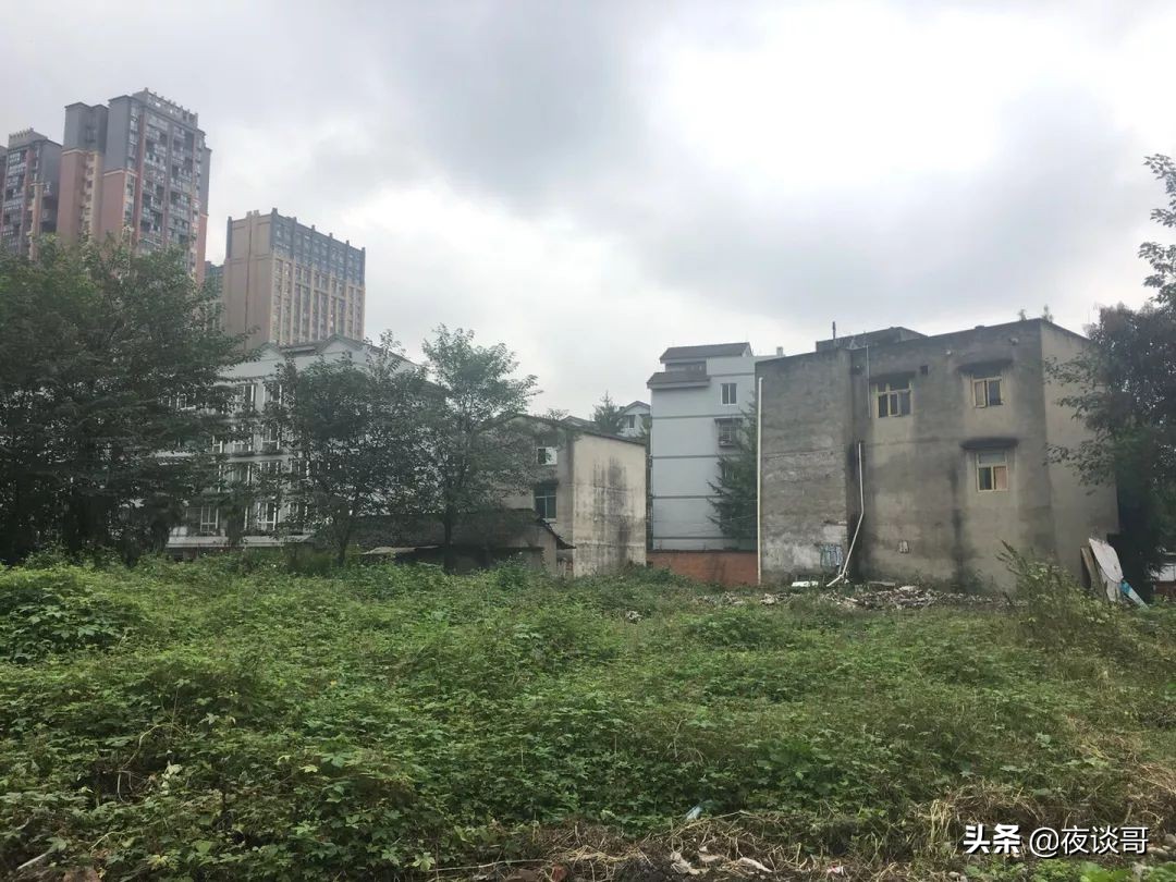 来成都感受这里的慢生活,来成都一年的感受