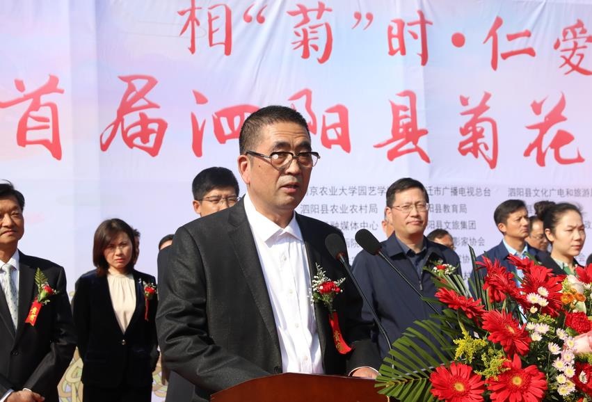 首届菊花节开幕,第三届泗阳菊花文化节