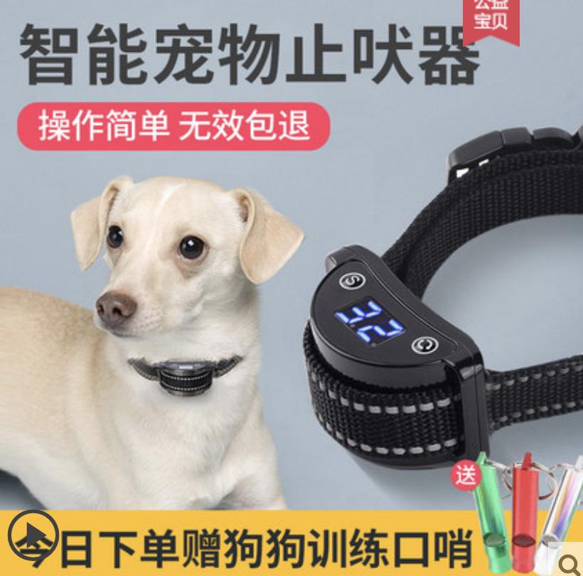 幼犬不听话可以电它吗,宠物不听话控制不住