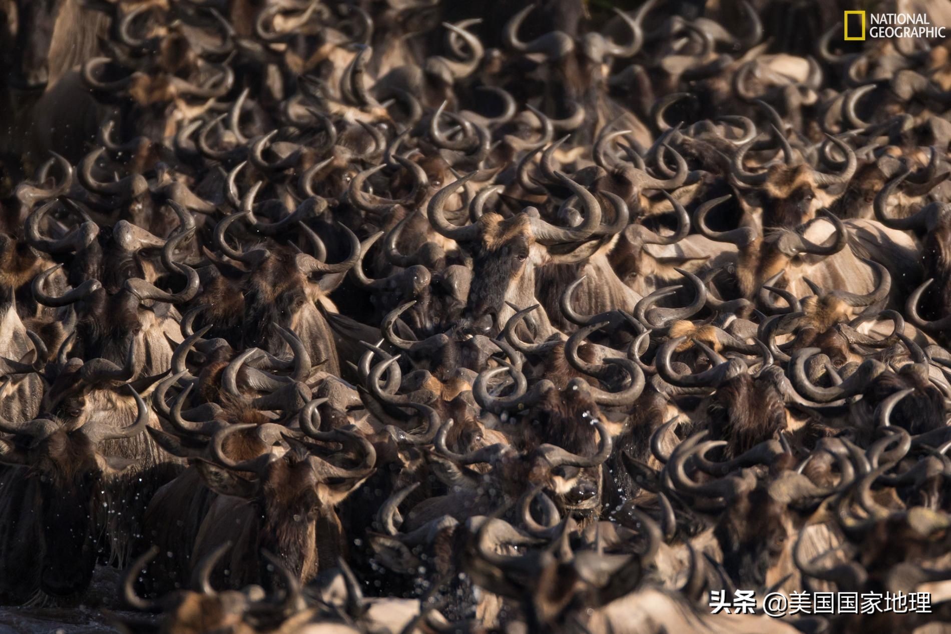 万中选一!大自然是怎样赋予照片灵魂的?