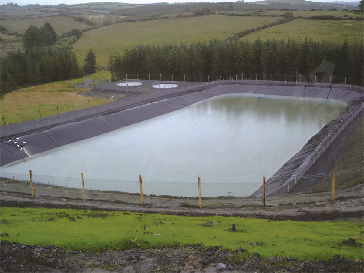 黄鳝养殖hdpe防渗膜价格,黄鳝养殖防渗土工膜厂家