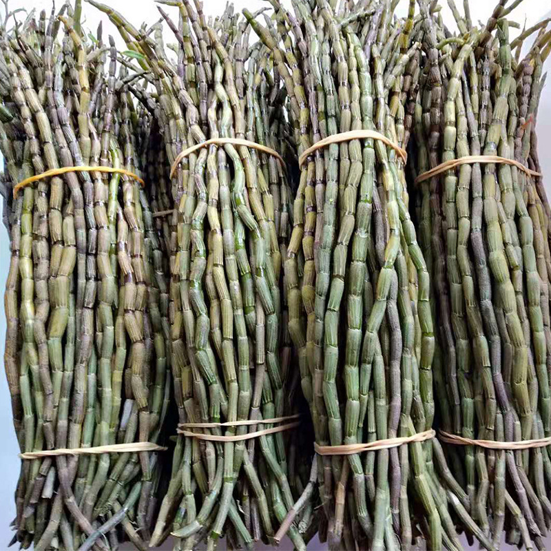 净化空气而且对身体好的花,净化空气对人身体有益的花