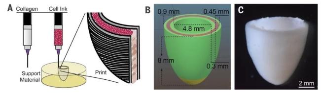 3d打印3种核心技术,3d打印器官最前沿技术