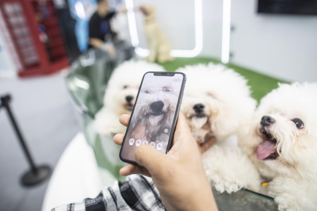 外滩大会蚂蚁链详解,外滩大会蚂蚁科技