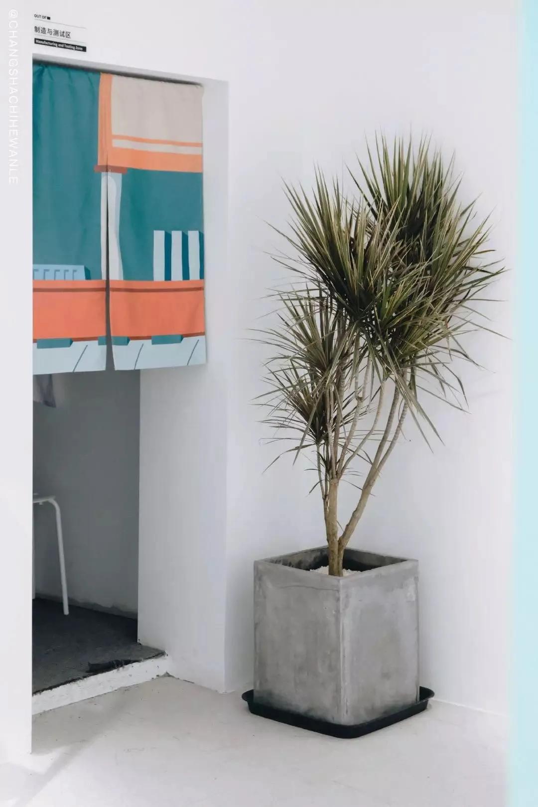 长沙必打卡的宝藏小店,长沙必逛的宝藏小店