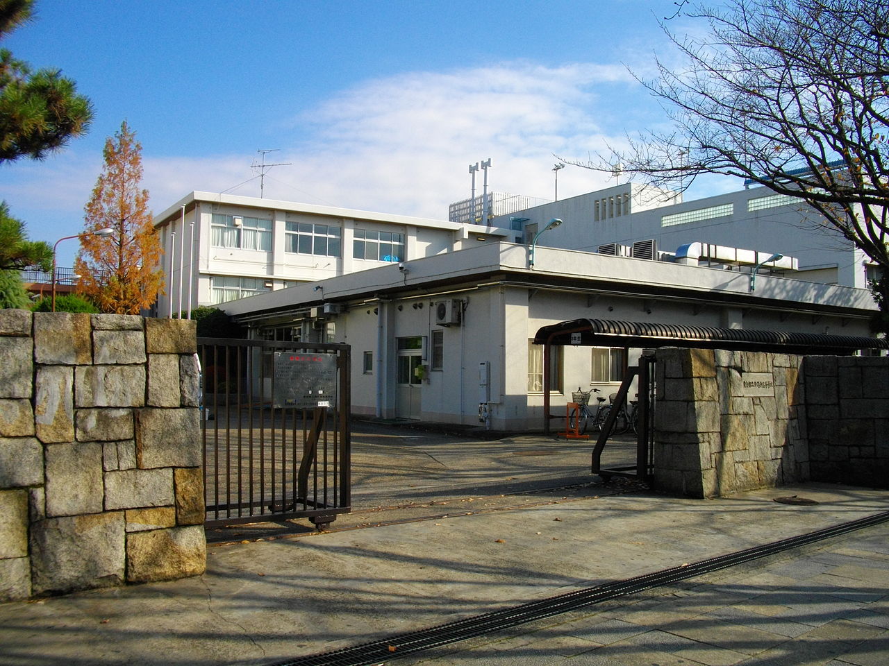 足球小将高桥洋,高桥洋足球小将