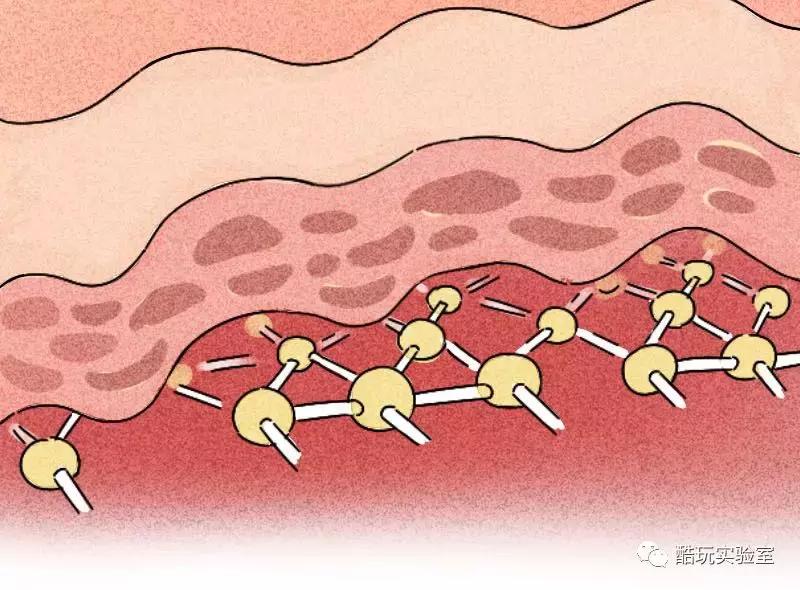 吃太多的糖会让你变胖,让你变丑变老的不是脂肪而是糖