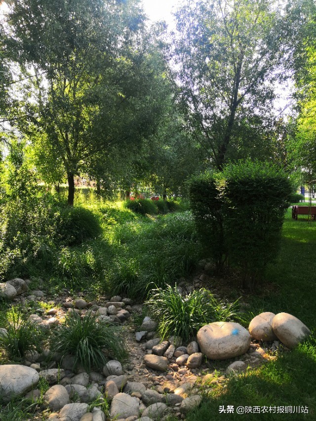 朱百强是谁,朱百强散文