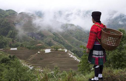 莽山烙铁头毒蛇排行,莽山烙铁头蛇全球排名第几毒