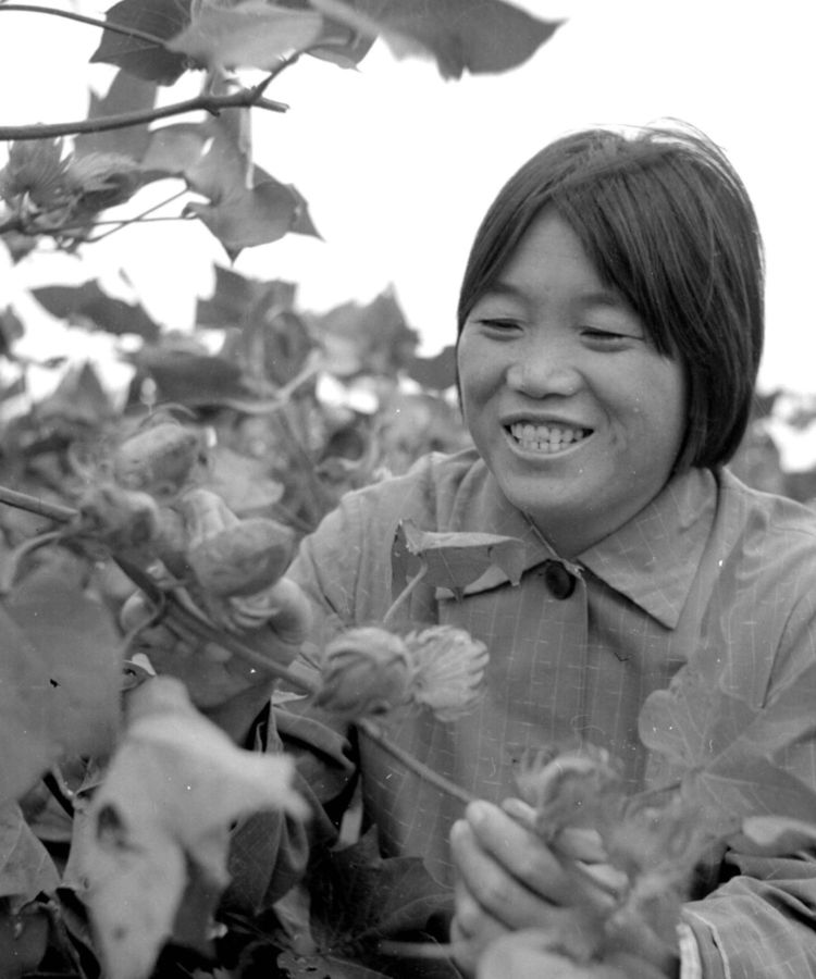 三八妇女节巾帼英雄人物,三八妇女节致敬各条战线巾帼英雄