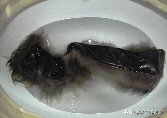 毛领洗坏了怎么办,大毛领洗坏了如何恢复变色